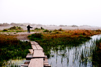Northern California Beach